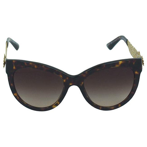 Dolce & Gabbana DG 4211 502/13 - Havana